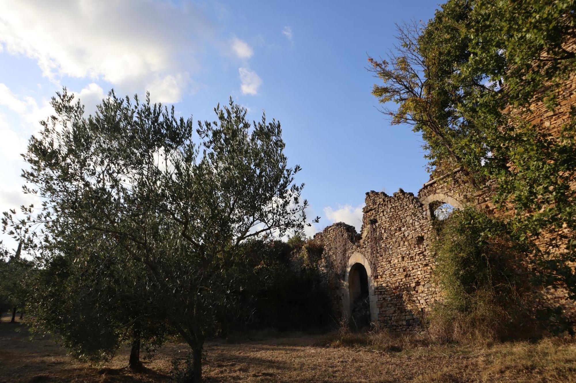 Bed and Breakfast Abbadia Wine Relais Montefollonico Exterior foto