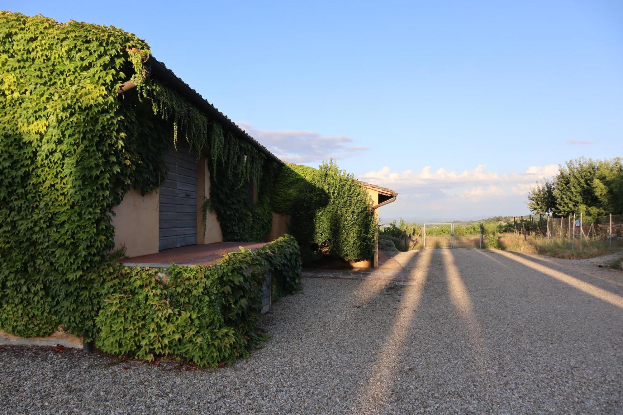 Bed and Breakfast Abbadia Wine Relais Montefollonico Exterior foto