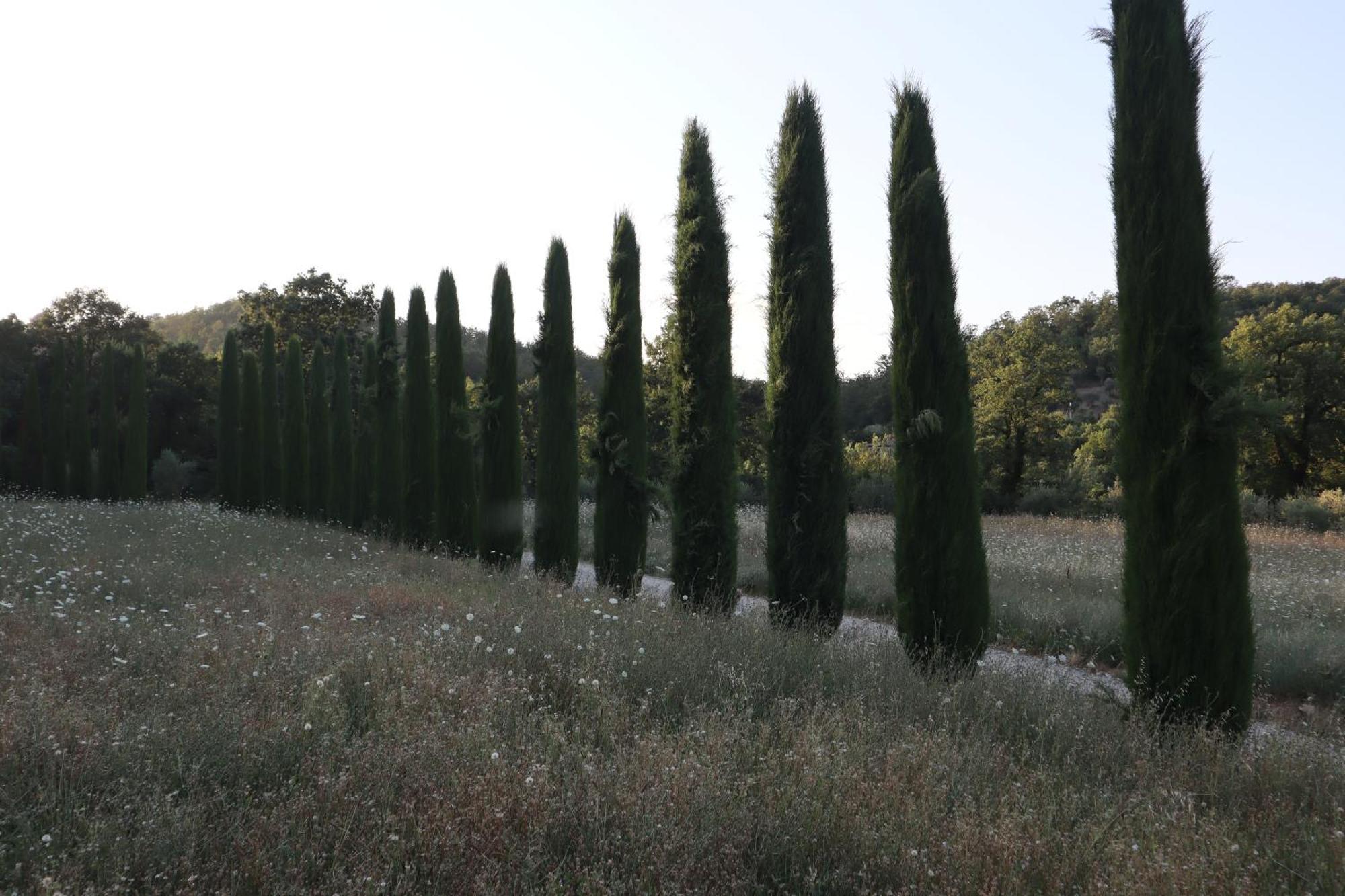 Bed and Breakfast Abbadia Wine Relais Montefollonico Exterior foto