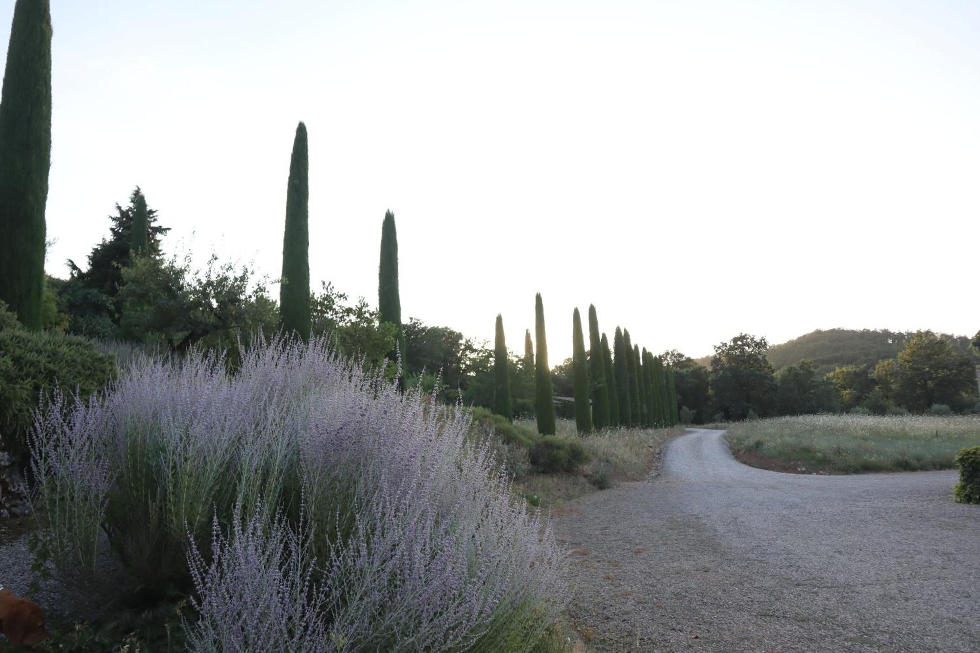 Bed and Breakfast Abbadia Wine Relais Montefollonico Exterior foto