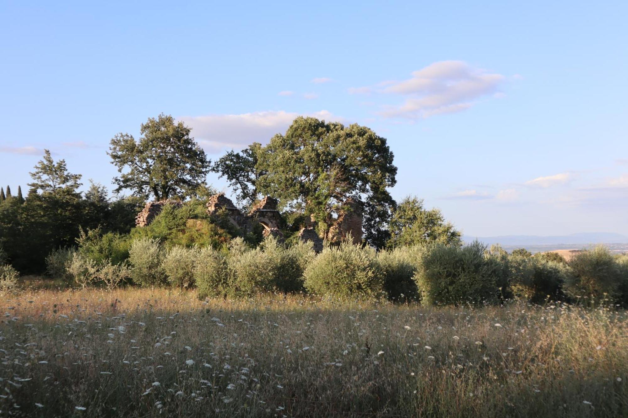 Bed and Breakfast Abbadia Wine Relais Montefollonico Exterior foto